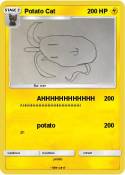 Potato Cat