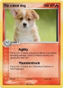 The cutest dog
