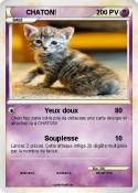 CHATON!