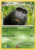Monkey