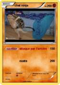 chat ninja