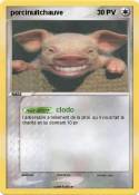 porcinuitchauve