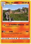 WALL OF CHINA