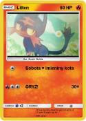 Litten