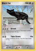 Black Cat