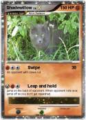 Shadewillow