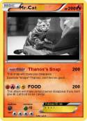 Mr.Cat