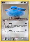 BiRd