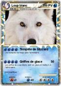 Loup blanc