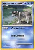 husky est trop