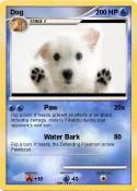 Dog