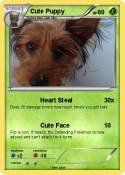 Cute Puppy