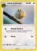 Adult Goldcrest