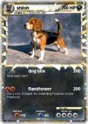 shiloh