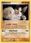 PUNCHCAT