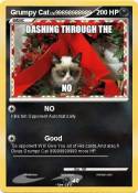Grumpy Cat