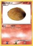 Egg fossil