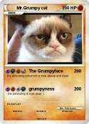Mr.Grumpy cat