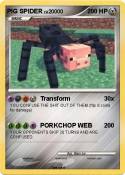 PIG SPIDER