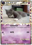 EVIL EYE CAT
