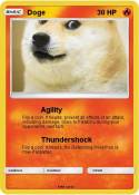 Doge