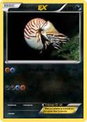 Nautilis