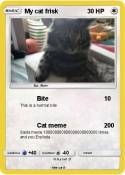 My cat frisk
