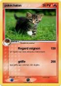 pokéchaton