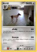 ALLOC