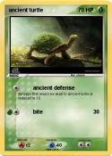 ancient turtle