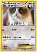 grumpy cat