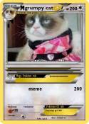 grumpy cat