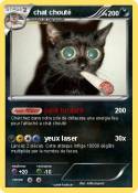 chat chouté
