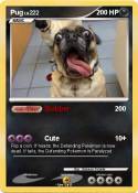 Pug