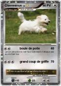 Chienminus