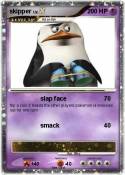 skipper