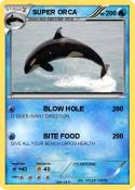 SUPER ORCA