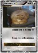 gros matou