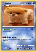 Cute dog