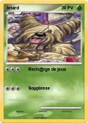 briard