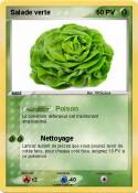 Salade verte