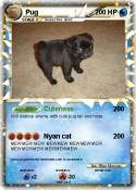 Pug