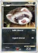 furet