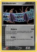Cell Membrane