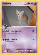 le chaton