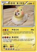 D O G B I R