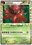 herbivore