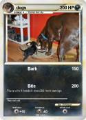 dogs