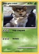 loup gris crois