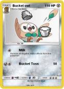 Bucket owl